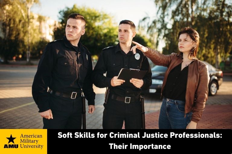 criminal justice skills