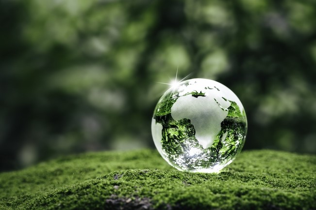 glass globe on moss