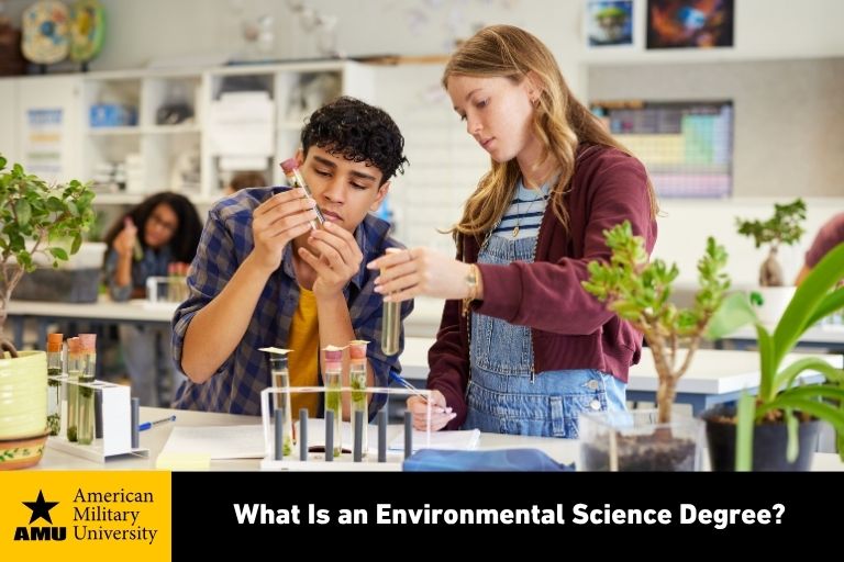 what-is-an-environmental-science-degree environmental science degree students working in labratory with plants